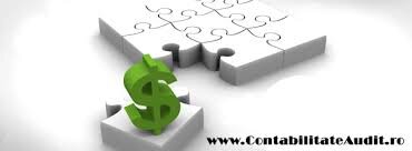 Bunescu Adriana - Contabil